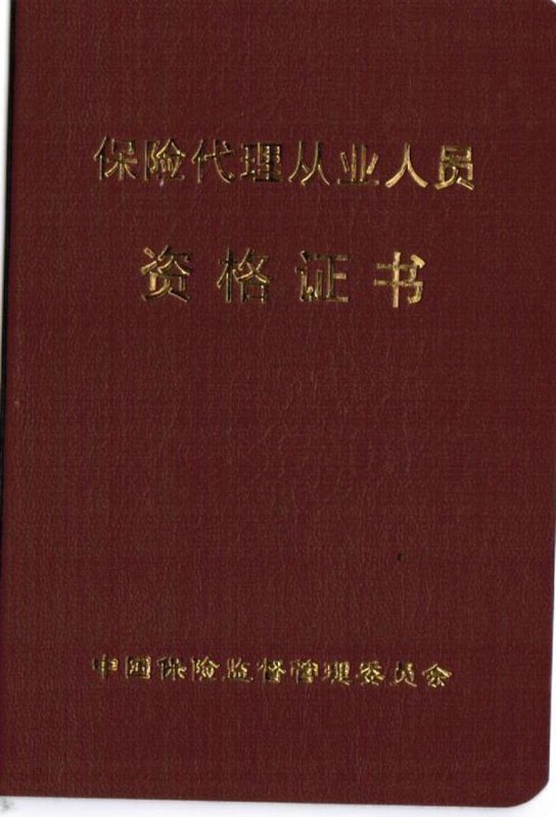 保险代理人招聘：开启职业生涯的新篇章